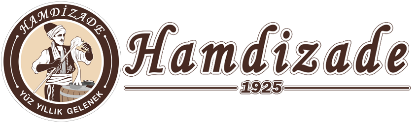 Hamdizade Logo